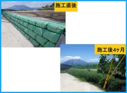 施工直後/施工後4ヶ月