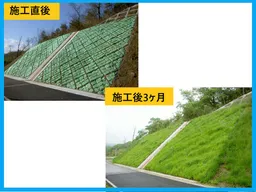 施工直後/施工後3ヶ月