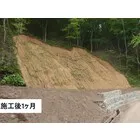 施工後1ヶ月